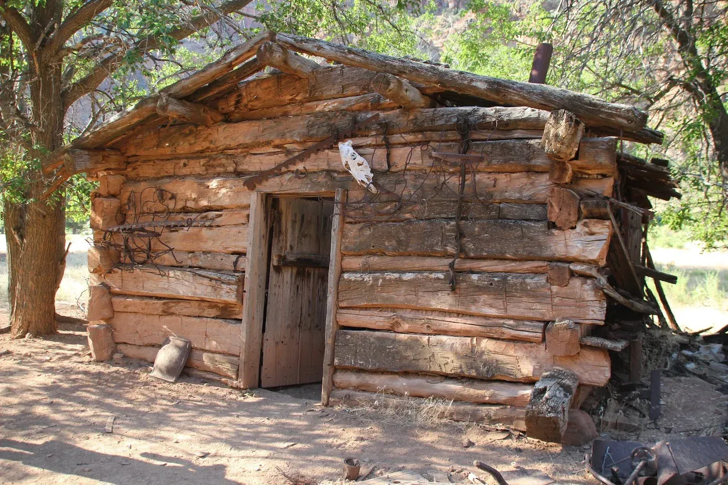 Old, rustic log cabin with a wooden door in a wooded area.