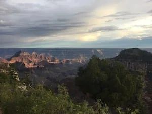 View of the Grand Canyon under a cloudy sky. Canyon walls are reddish-brown, with green foliage in the foreground.
