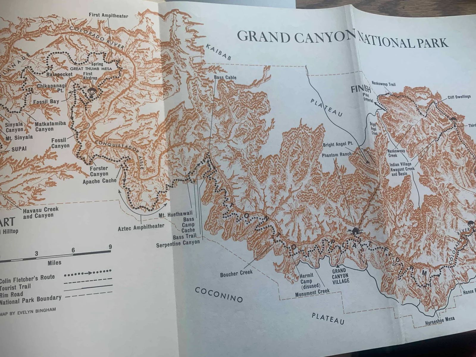 Map of Grand Canyon National Park, brown and white, detailing the canyon's topography and trails.