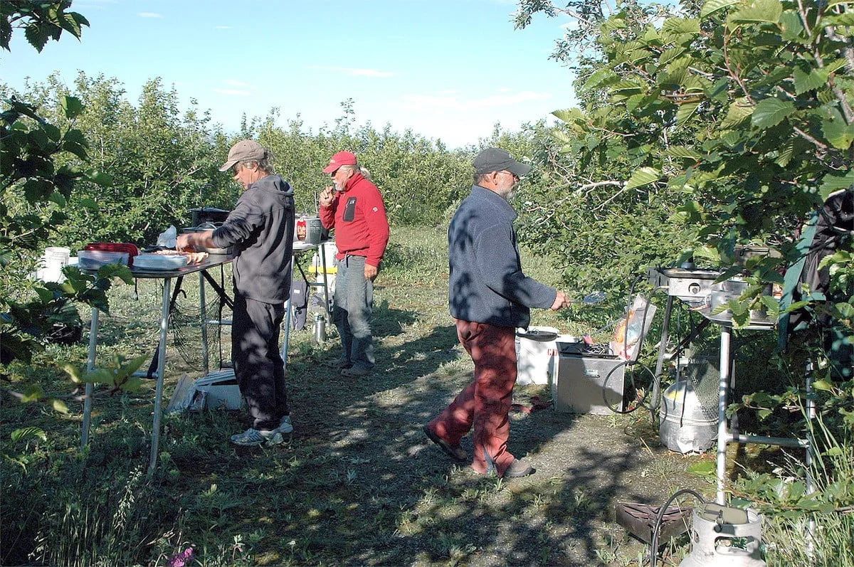 People working in a vineyard; one in red jacket, two near tables, surrounded by green foliage, sunny day.