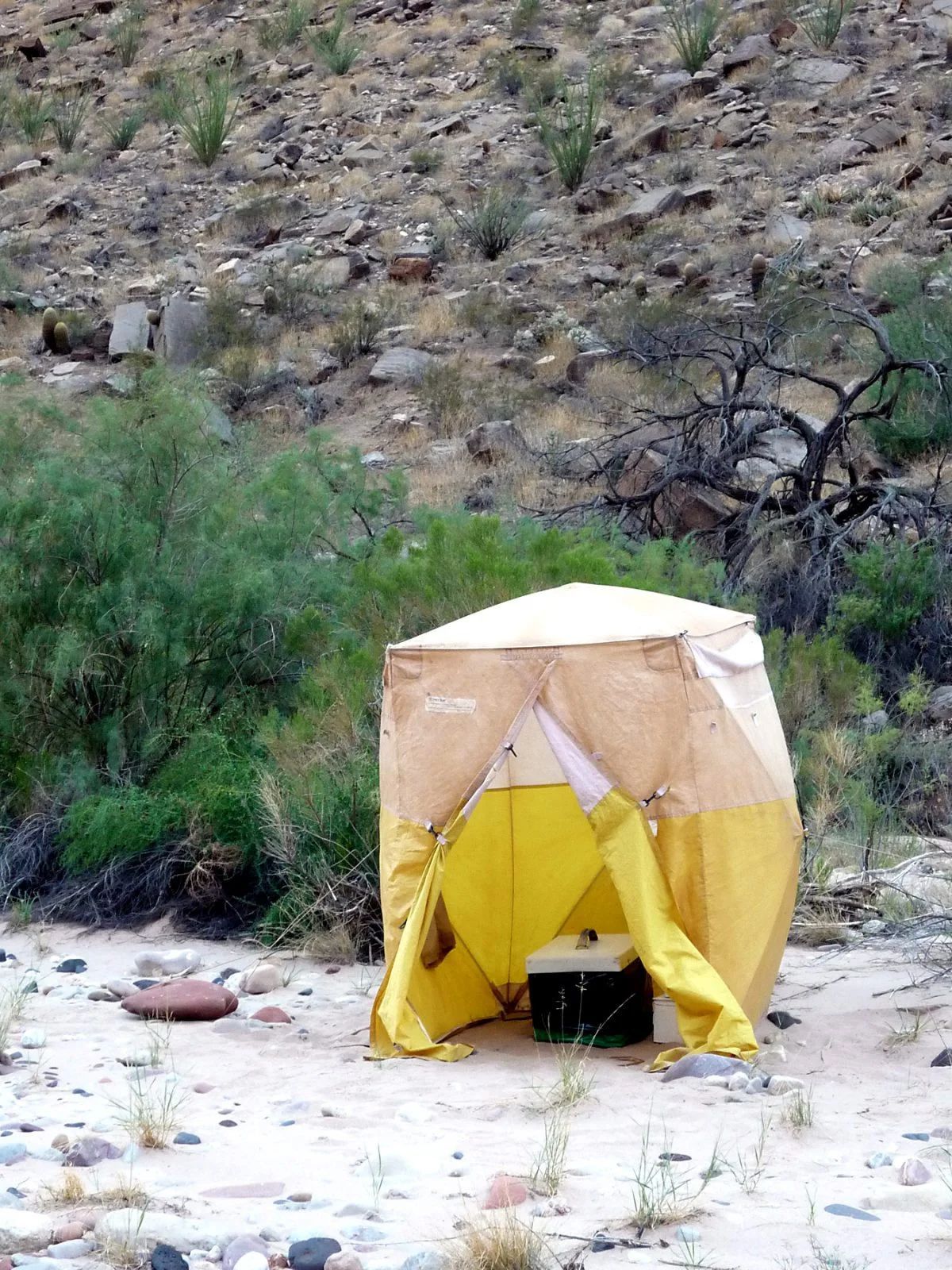 Yellow and tan portable toilet in a desert wash area, surrounded by rocks and scrub brush.