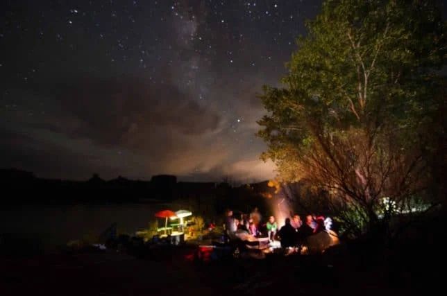 Campers gathered around a fire at night, beneath a starry sky and a tree near water.