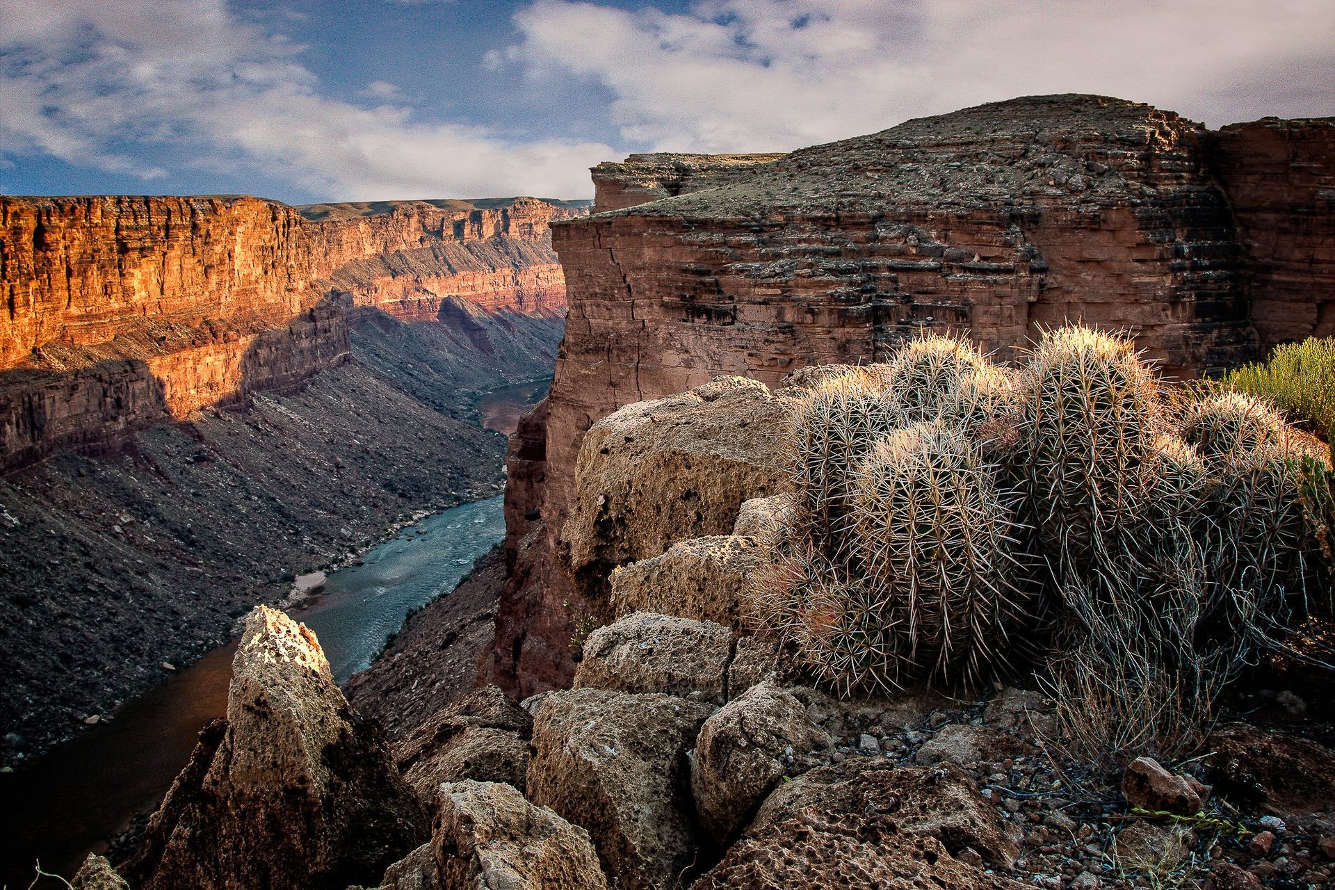 Canyon landscape with river. Cactus in the foreground, cliffs in orange and gray, and blue sky.