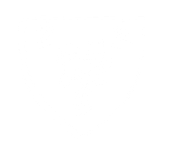 A white background with a few lines on it