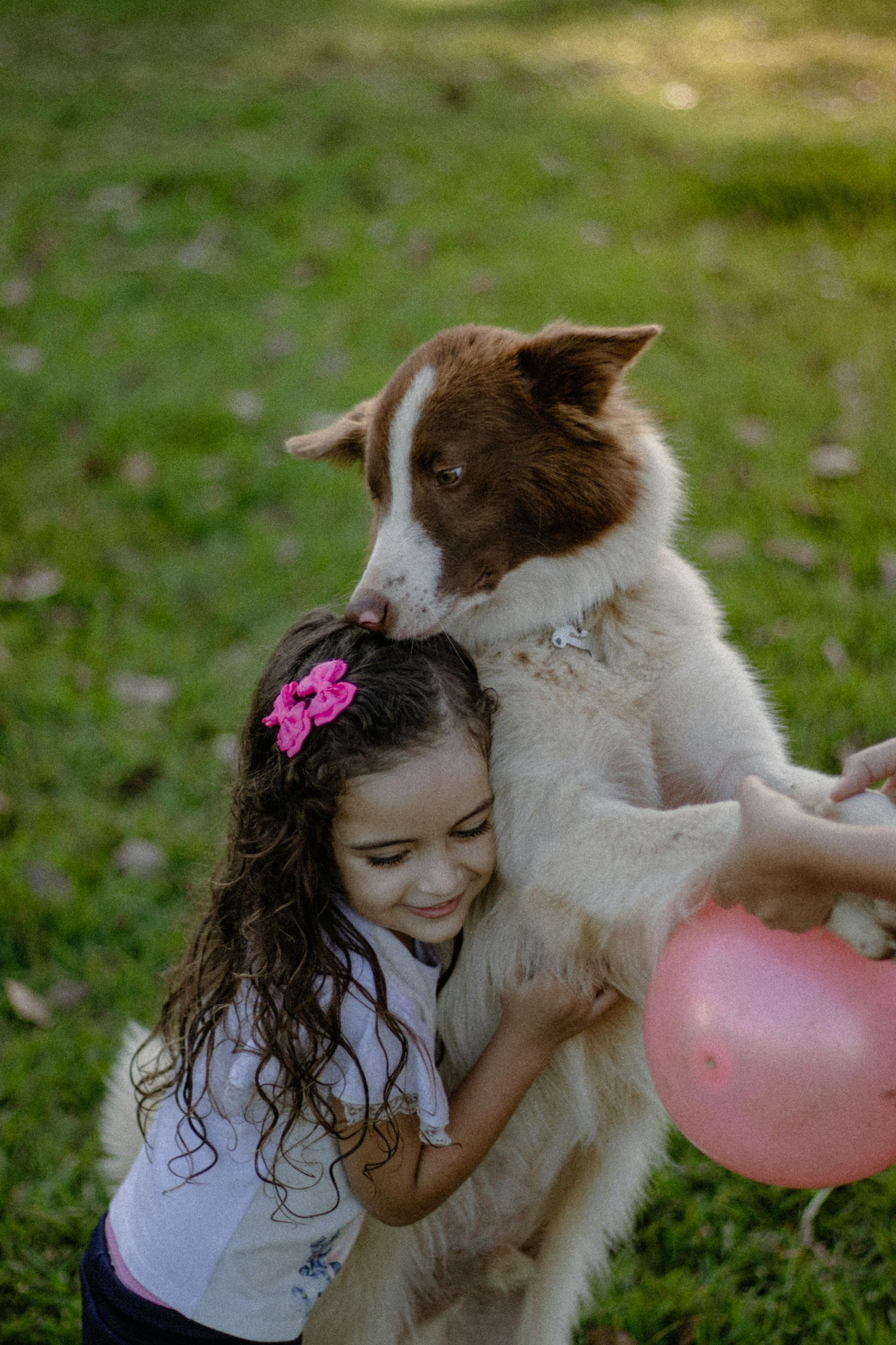A little girl is hugging a brown and white dog while holding a pink balloon.