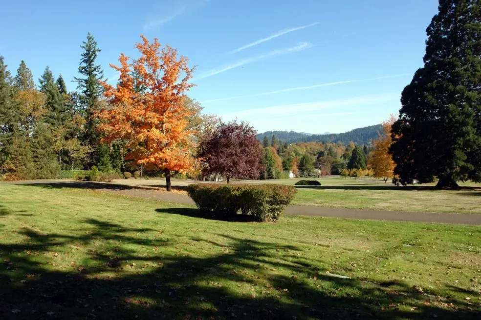 Grassy park with fall trees of orange and red under a blue sky, mountains in the distance.
