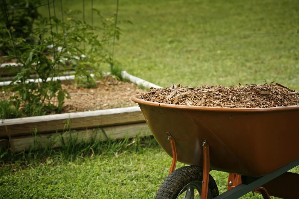 A Wheelbarrow Filled with Mulch Is Sitting on Top of A Lush Green Lawn — Teven Valley Tea Tree Mulch In Byron Bay, NSW
