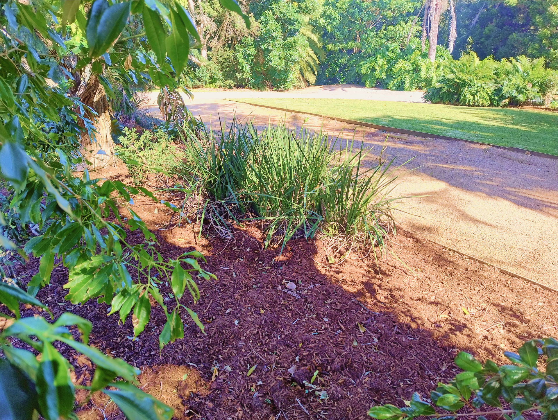 A Pathway Next to Garden Bed with Mulch — Teven Valley Tea Tree Mulch In Lismore, NSW
