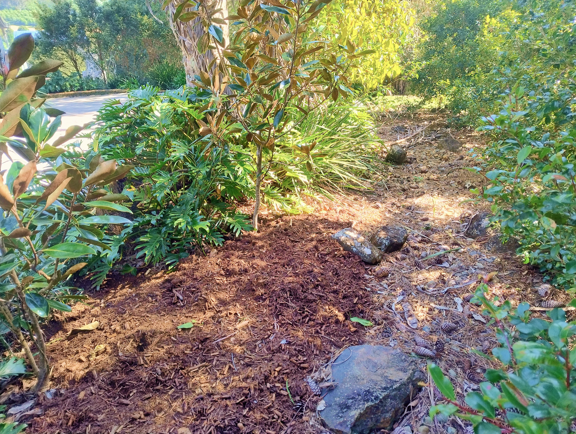 Freshly Mulched Garden Bed Using Tea Tree Mulch — Teven Valley Tea Tree Mulch In Lennox Head, NSW