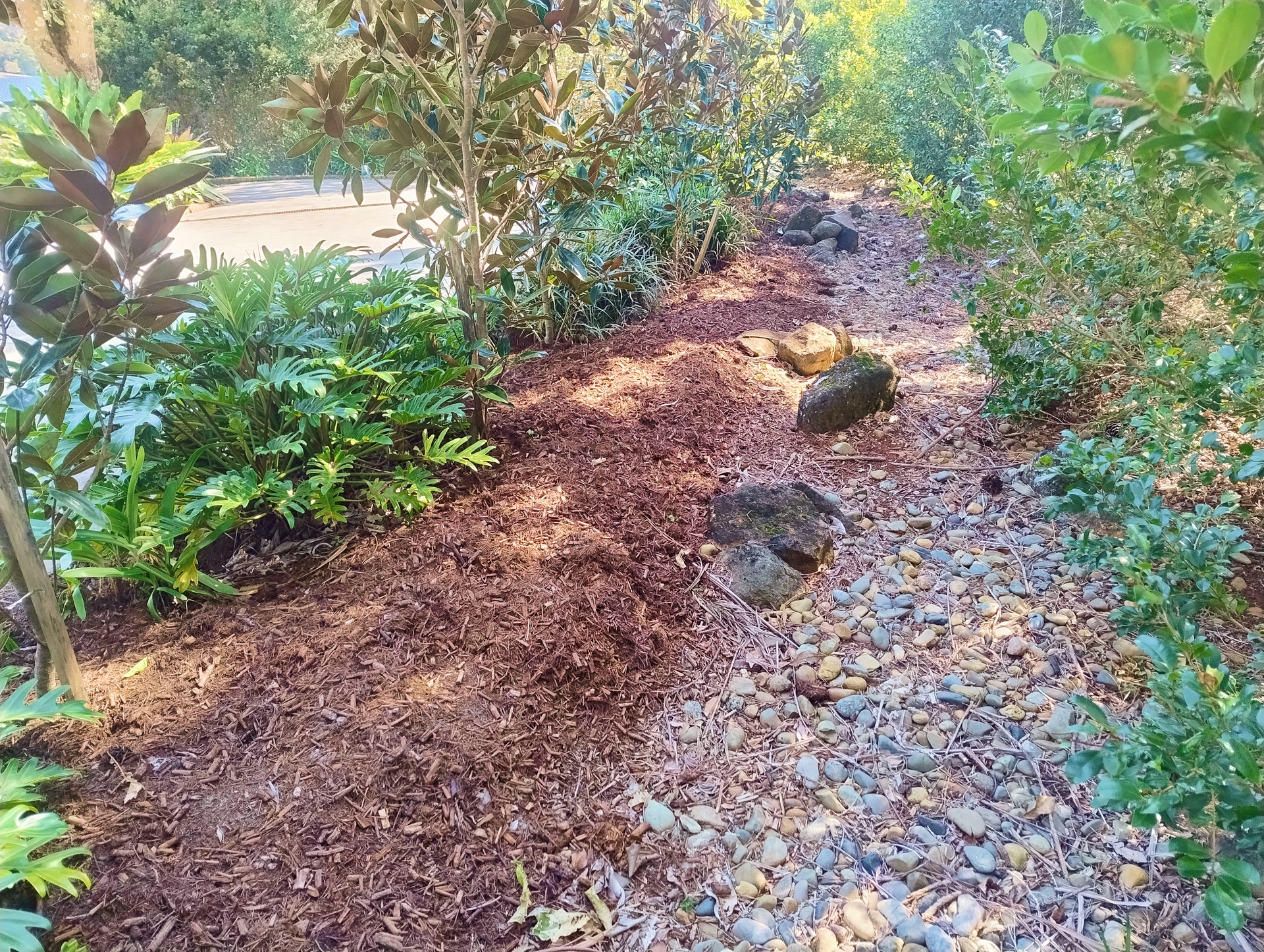 Tea Tree Mulch in a Garden bed with Plants and Pebbles — Teven Valley Tea Tree Mulch In Lennox Head, NSW