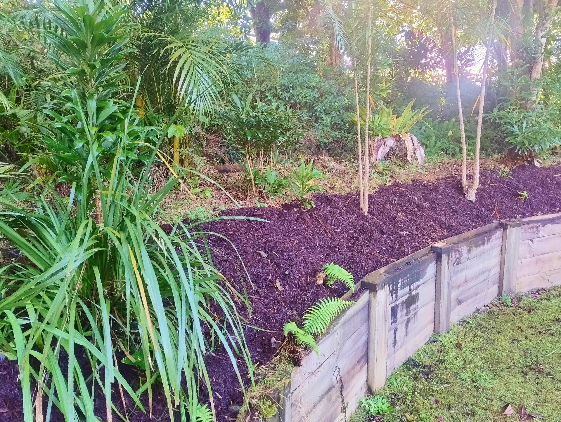 Freshly Mulched Garden Bed with a Retaining Wall and Trees — Teven Valley Tea Tree Mulch In Ballina, NSW