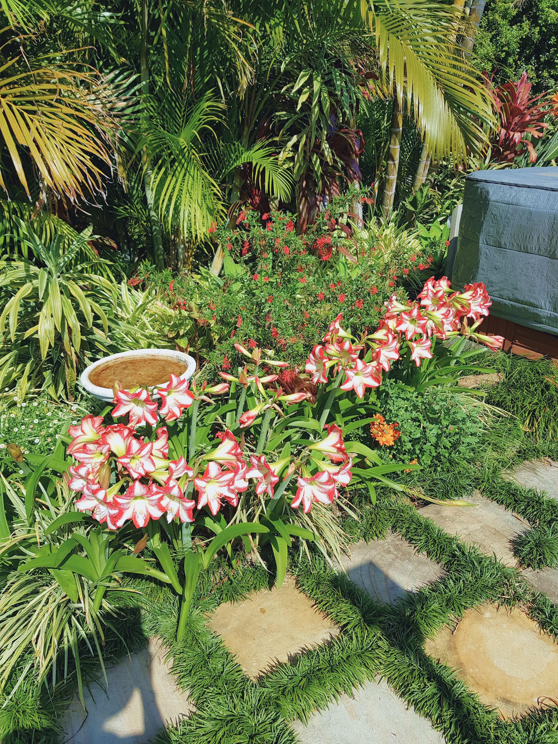 A Flourishing Garden from Tea Tree Mulch — Teven Valley Tea Tree Mulch in  Alstonville, NSW