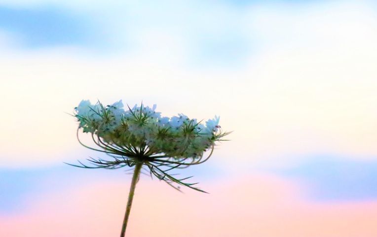 Funeral homes in Fort Worth, TX