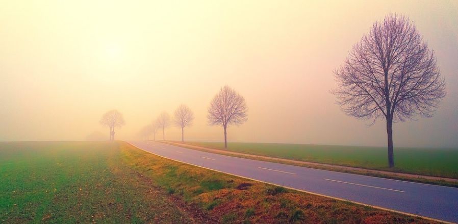cremation service in Fort Worth, TX