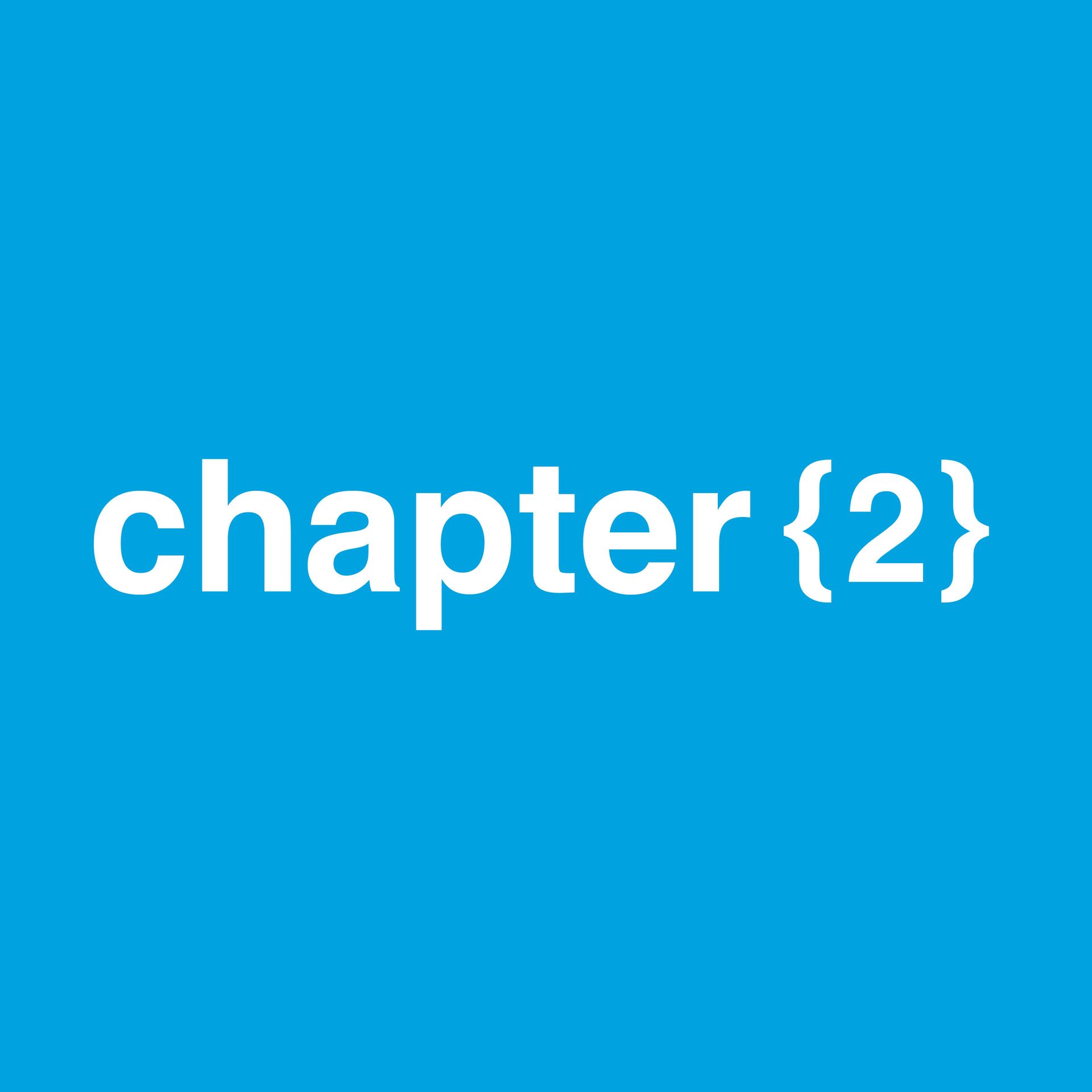 Chapter 2 company logo