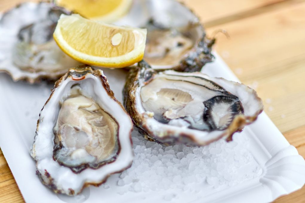 Ostriche su ghiaccio con fette di limone su un piatto di carta.