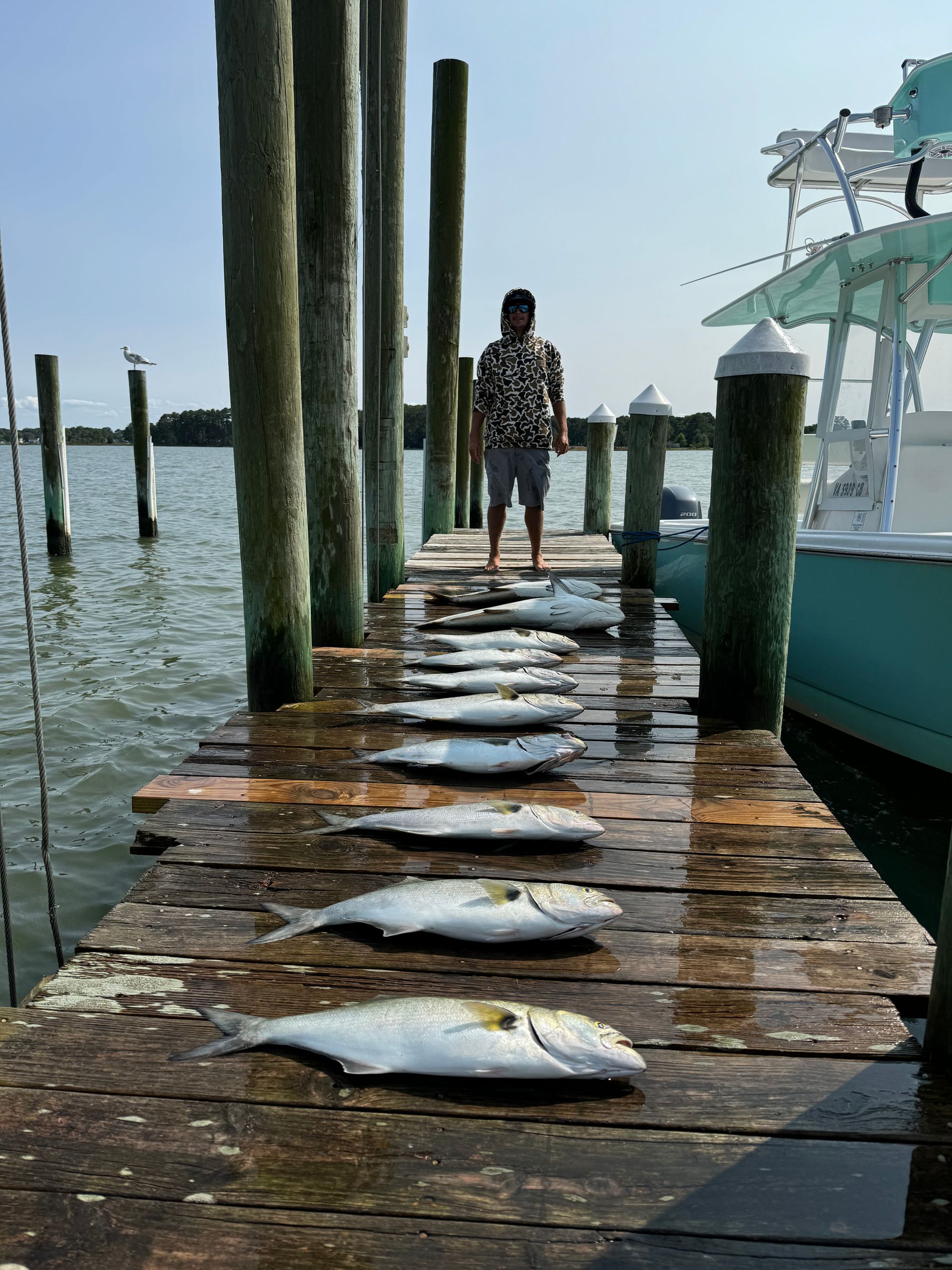 A man is standing on a dock with a bunch of fish on it.