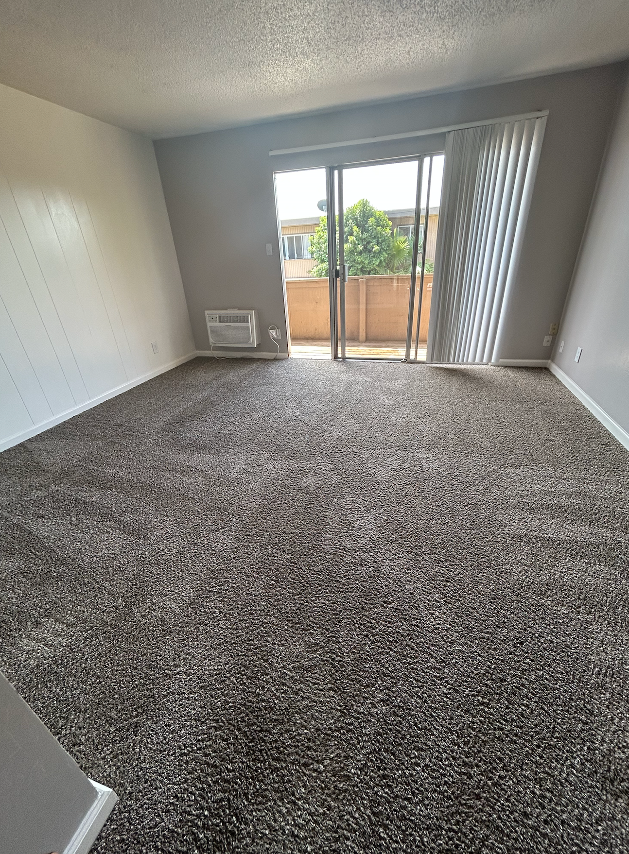 Empty carpeted apartment room with sliding glass door to a balcony and window A/C unit