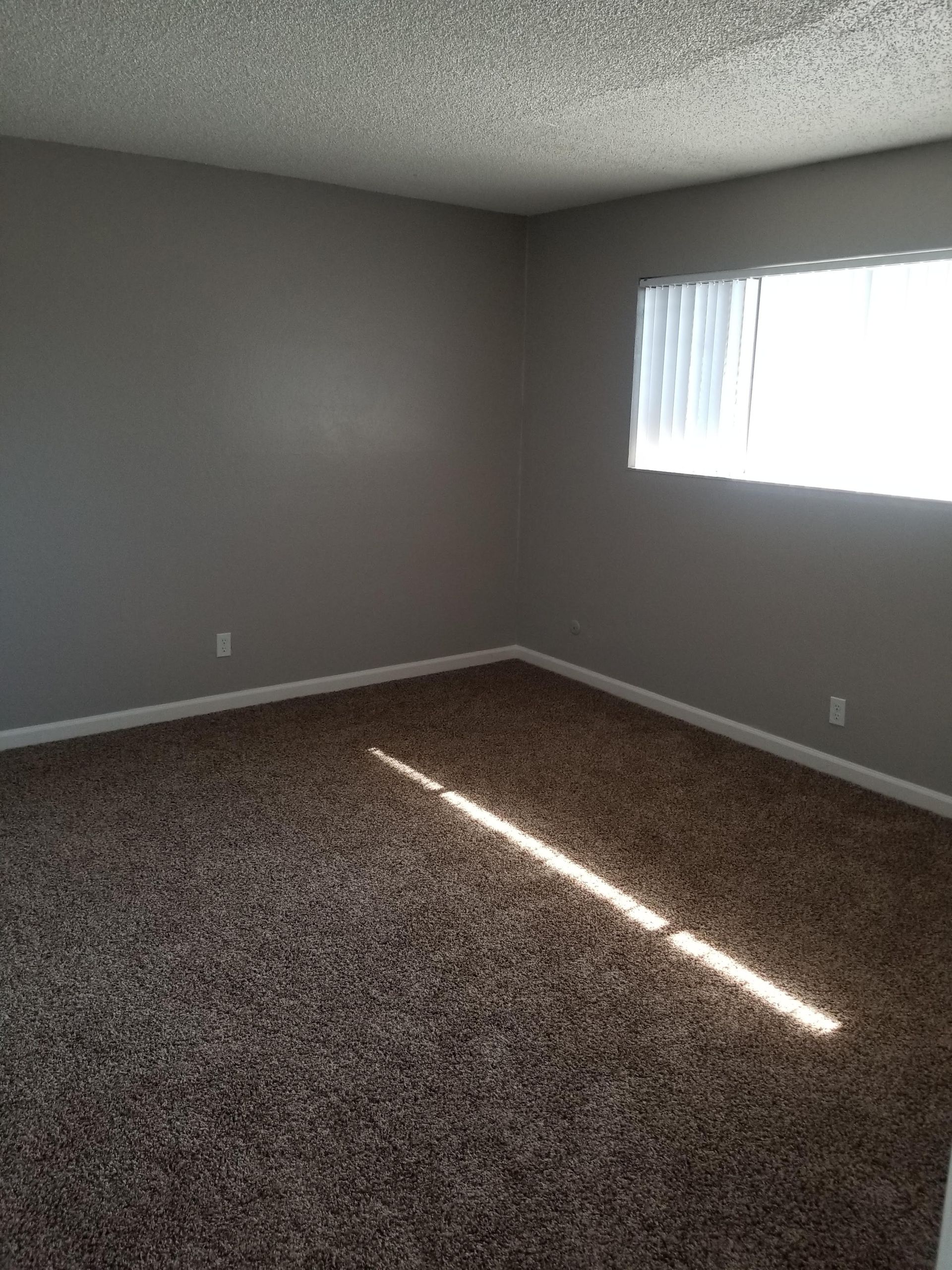Empty carpeted room with gray walls and a small window letting in sunlight