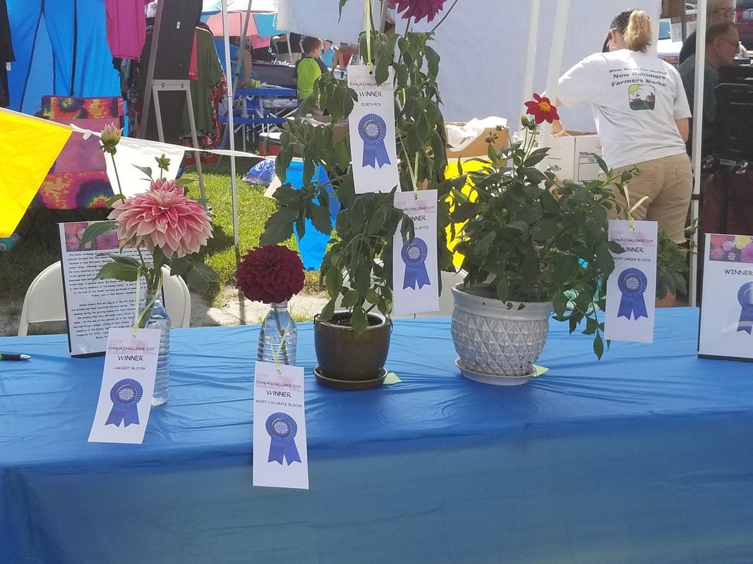 A table with flowers and ribbons on it