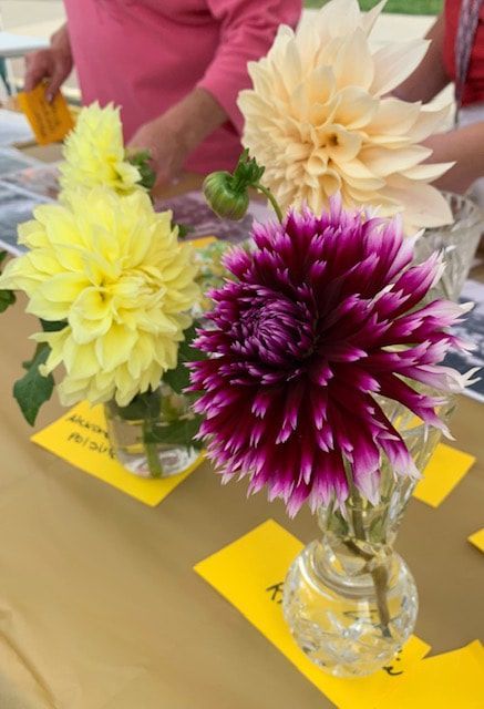A bunch of flowers in vases on a table