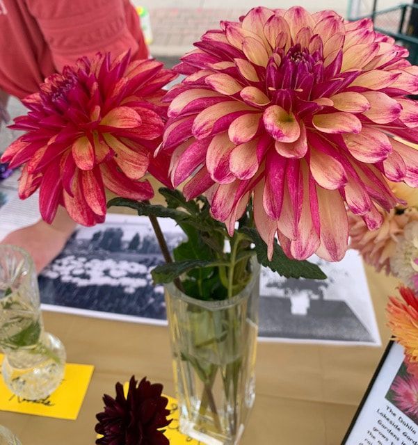 A vase filled with pink and yellow flowers sits on a table