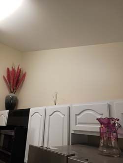 Kitchen cabinets with a black countertop, a vase of red decorative stems, and a pink glass jar.