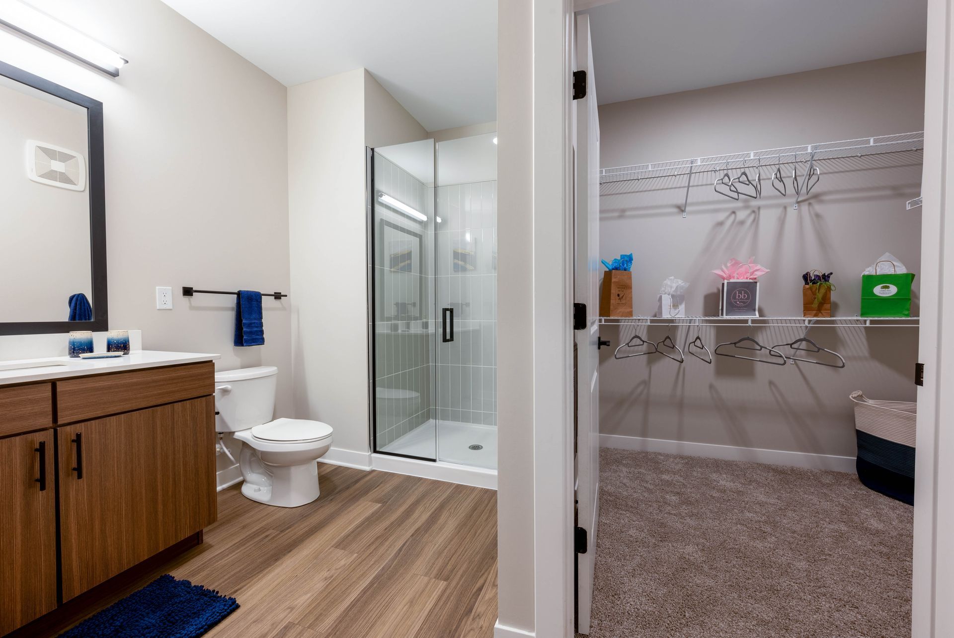 apartment bathroom walk-in closet at Federal Hill in Noblesville, IN.