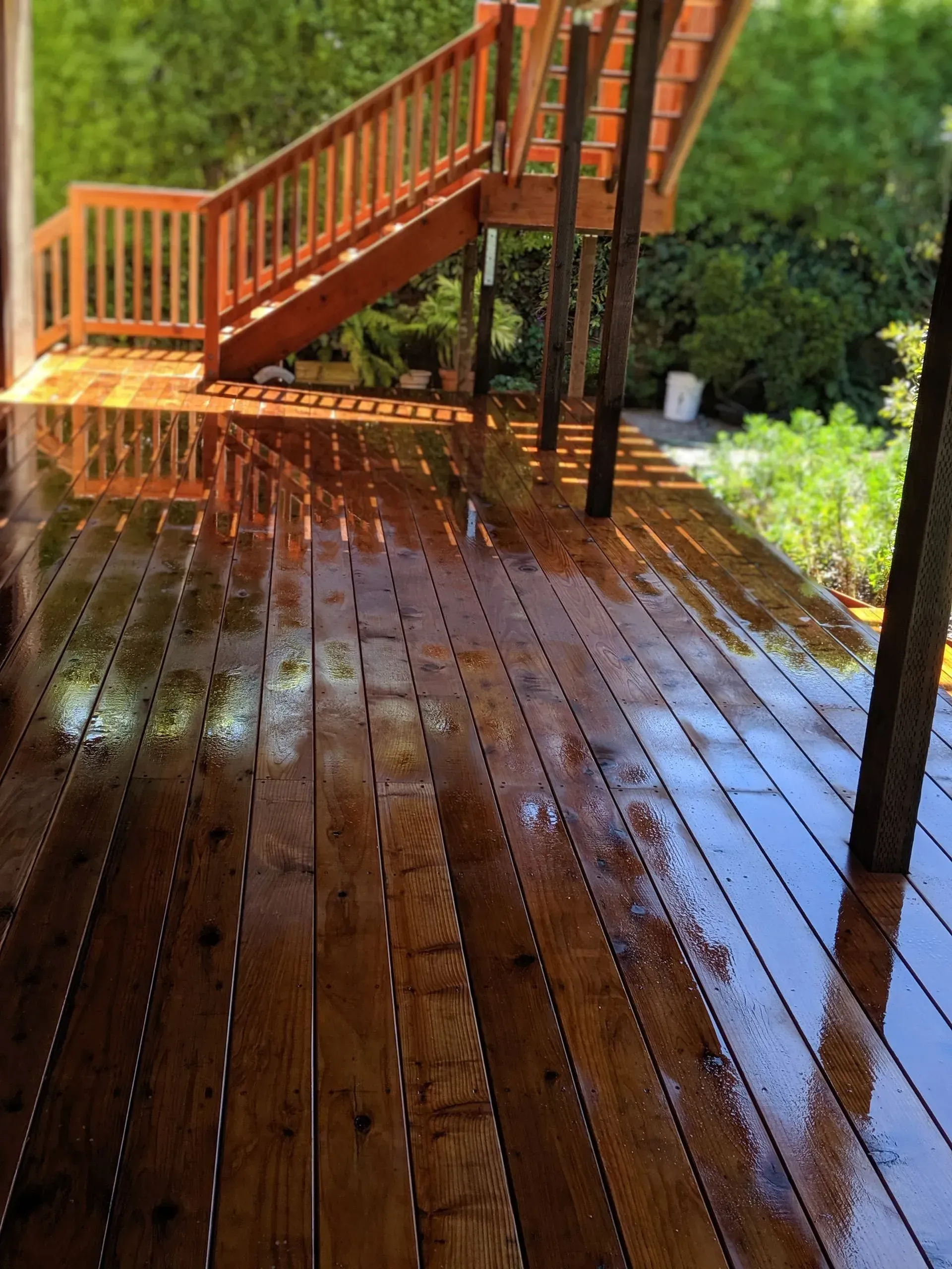 Rain-soaked wooden deck with orange stairs and railing, sunlight reflecting on the wet surface