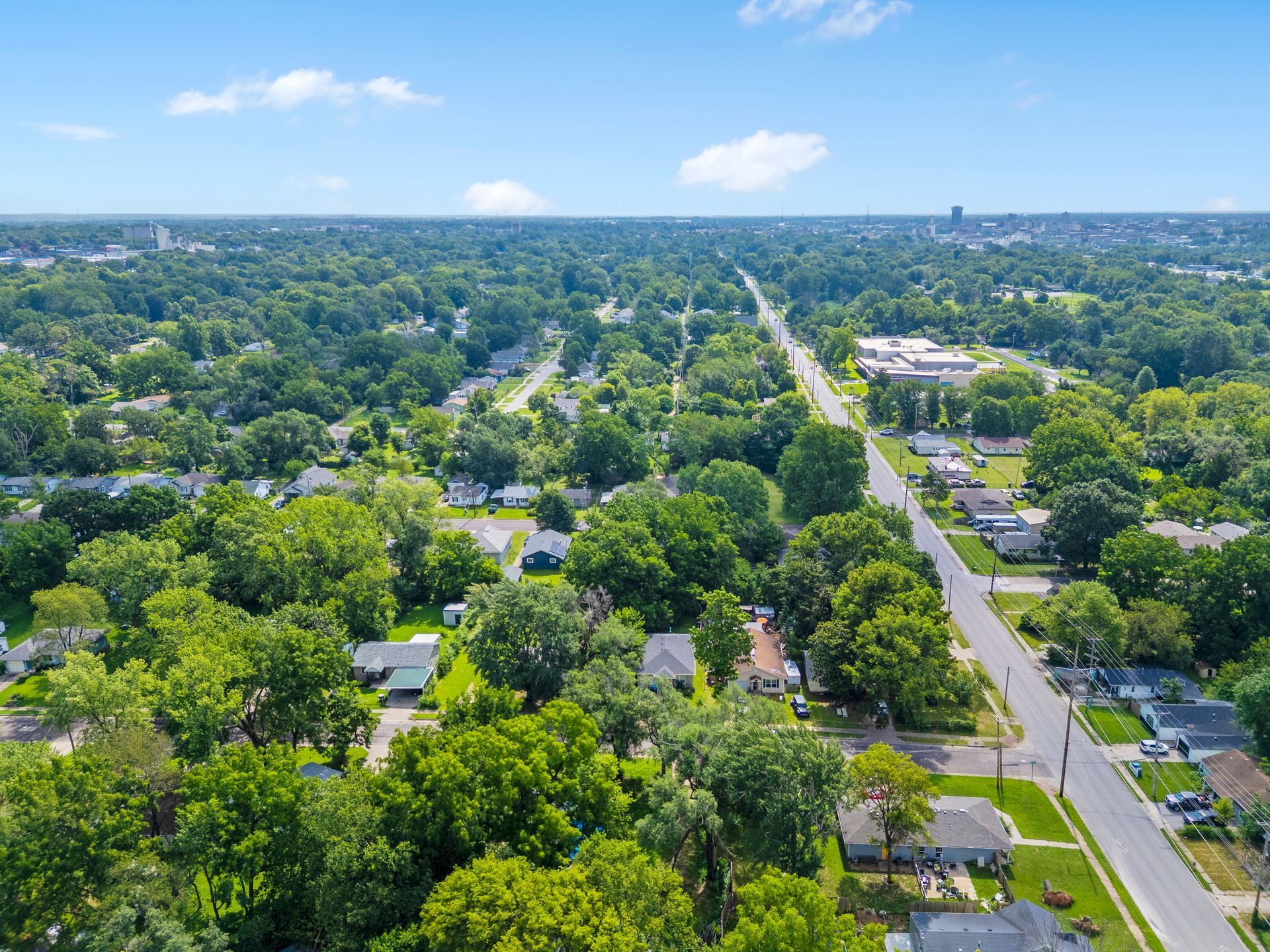 Aerial view of a leafy suburban neighborhood with streets, houses, and a distant skyline under a blue sky
