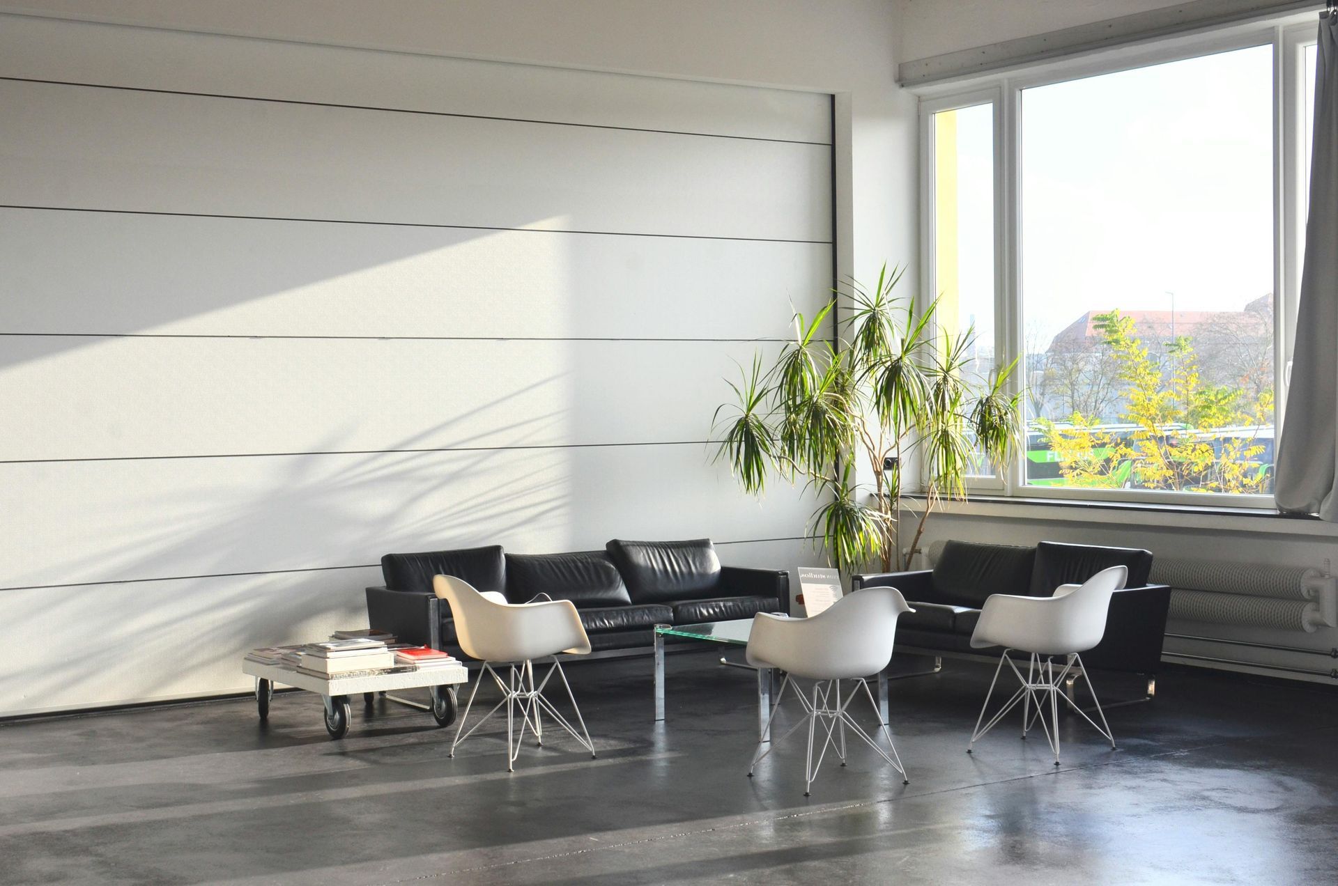 Modern living room with black and white chairs, a sofa, plants, and large windows with sunlight.