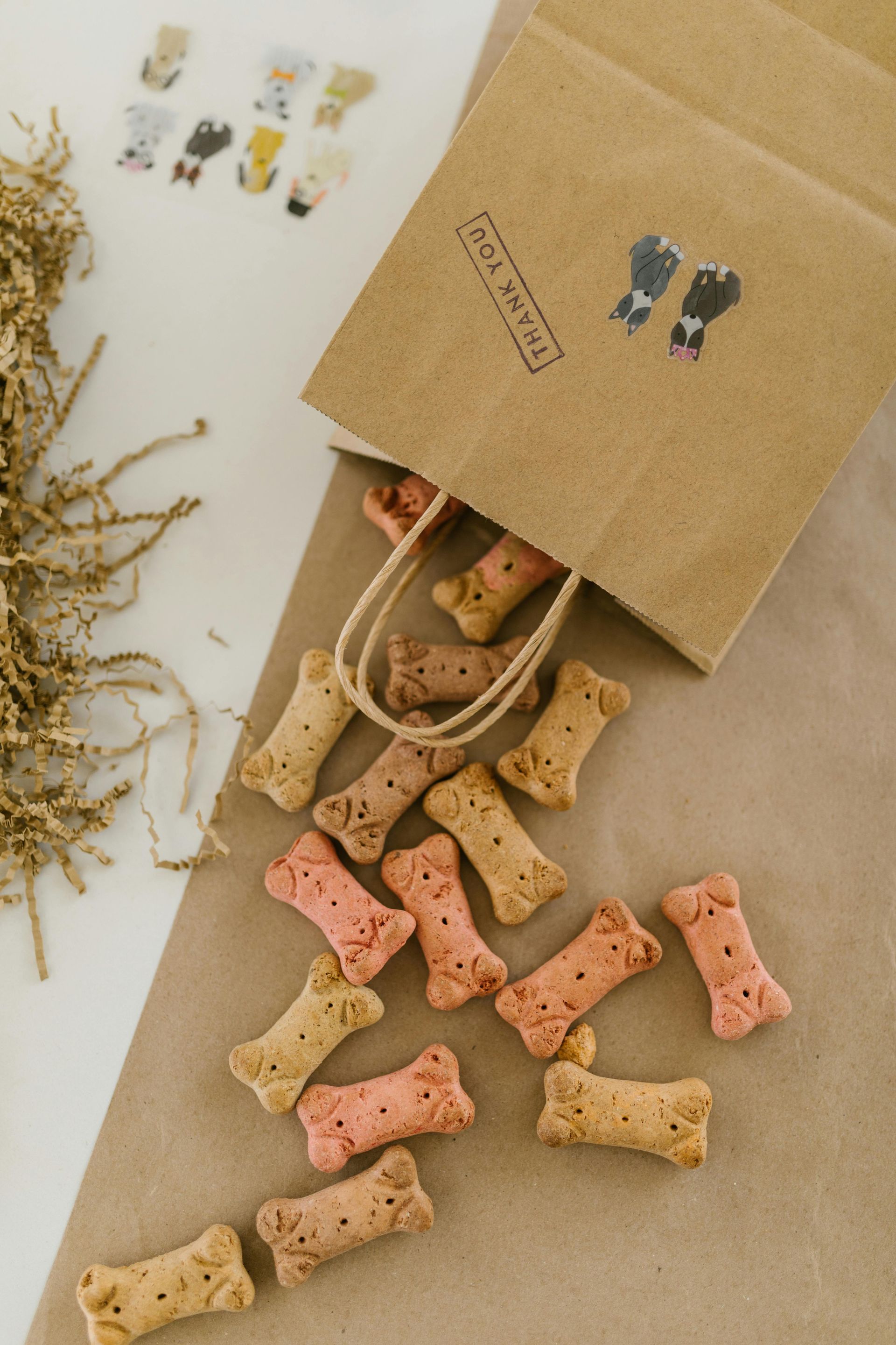 Kibble pieces spilling from a brown paper bag onto a beige surface, with dried flowers nearby.