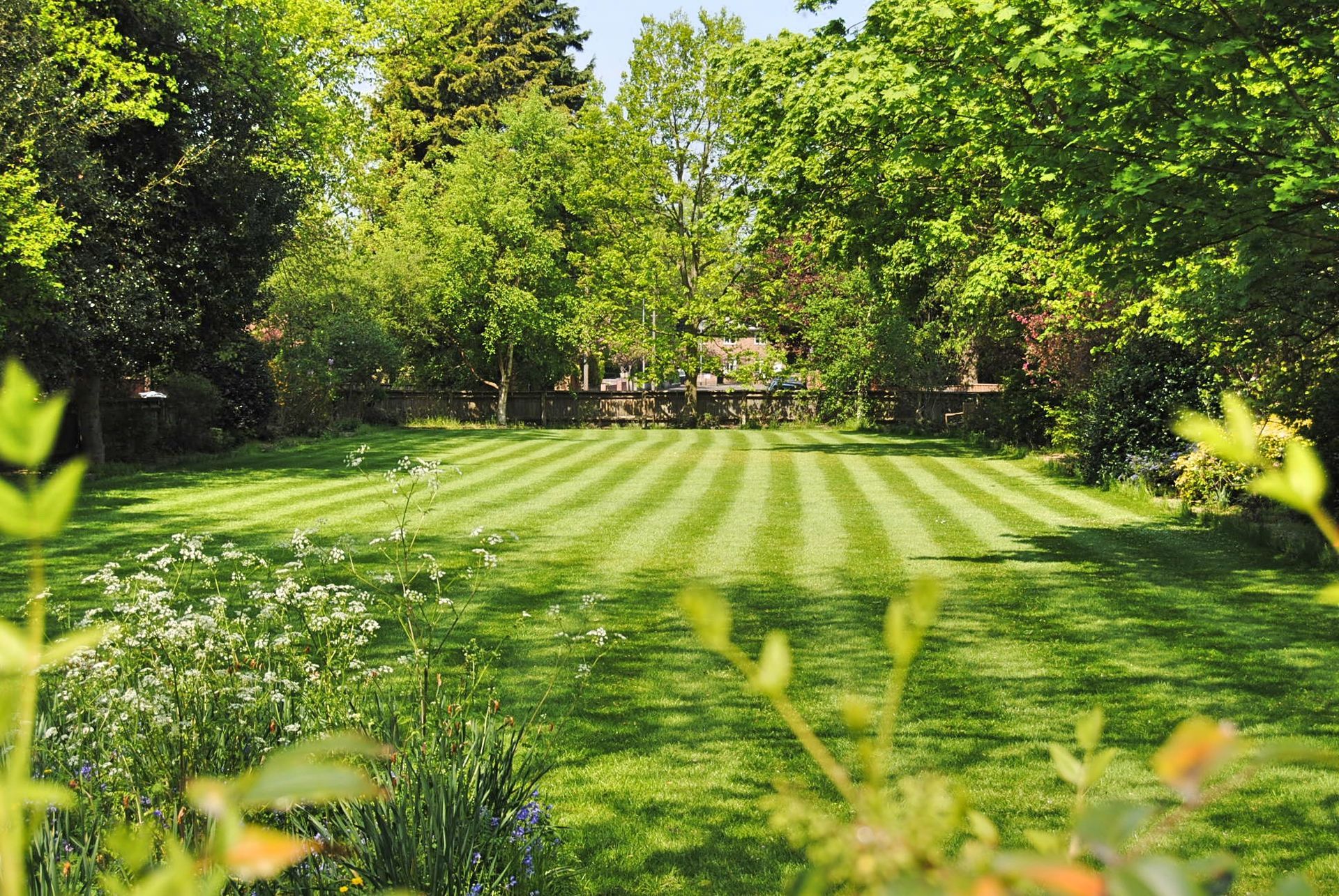 Lawn care - Hamel, MN - Mama's Boys Lawn and Landscaping LLC