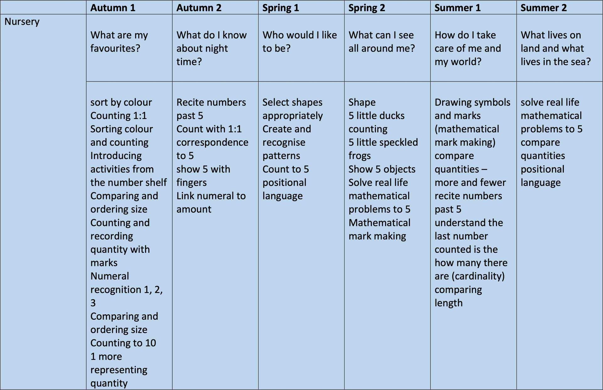 Nursery long term plan