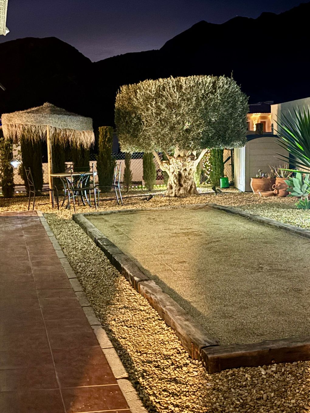 garden by night
