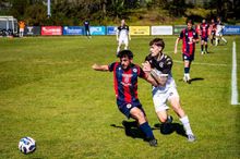 Soccer players battle for the ball on a sunny grass field during a match