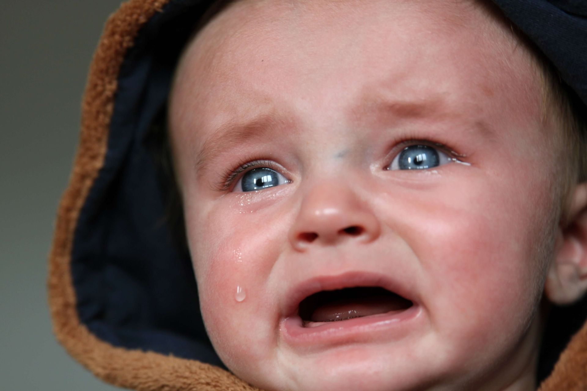 baby proofing pros, child safety services in cary nc, toilet latching, lock & latches for babies