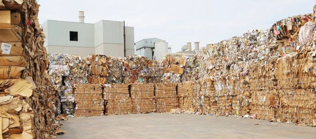 Promoting Sustainability in Waste Management for Commercial and Industrial Clients