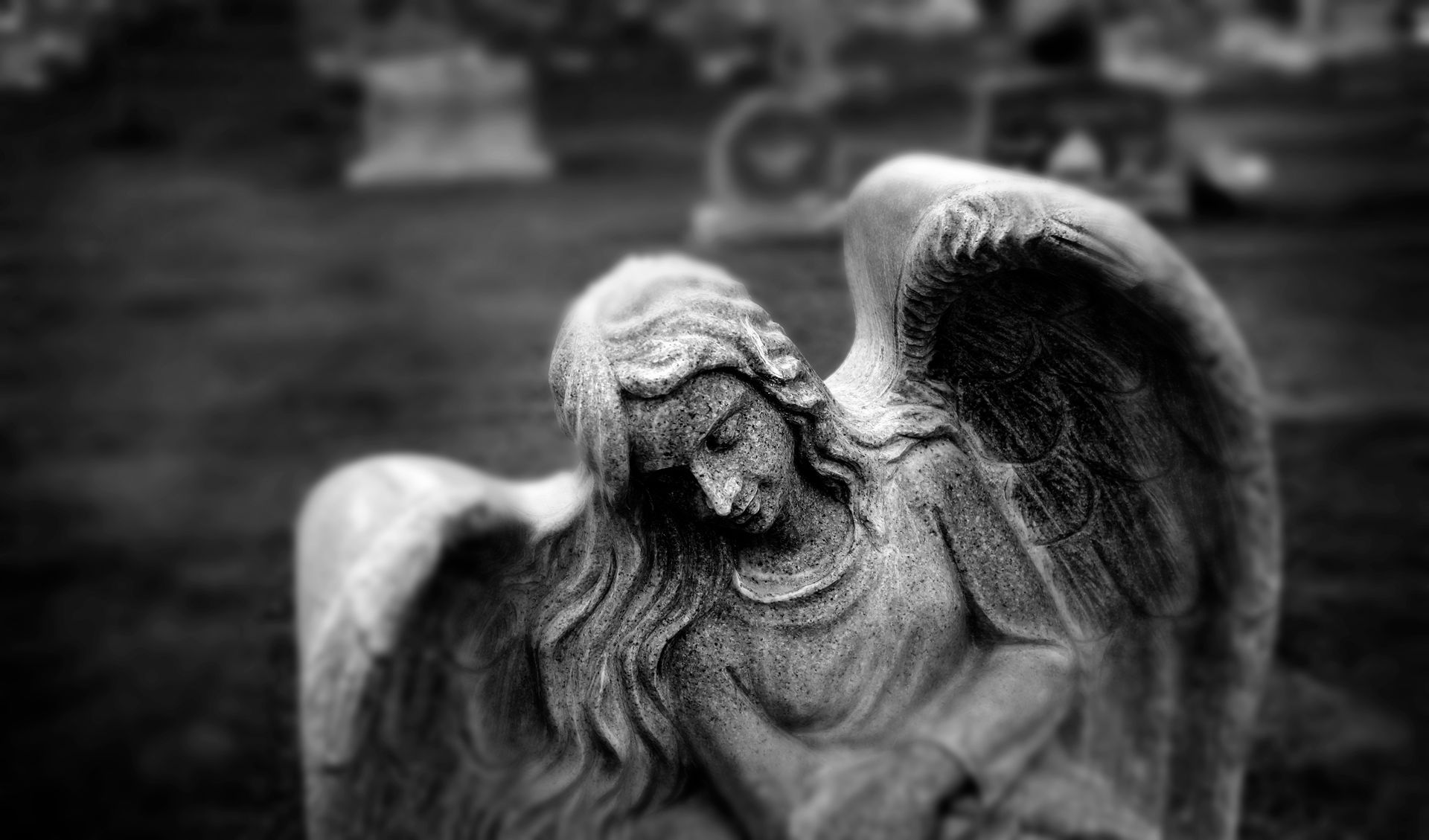 Stone angel statue in cemetery, head bowed, wings spread. Black and white.