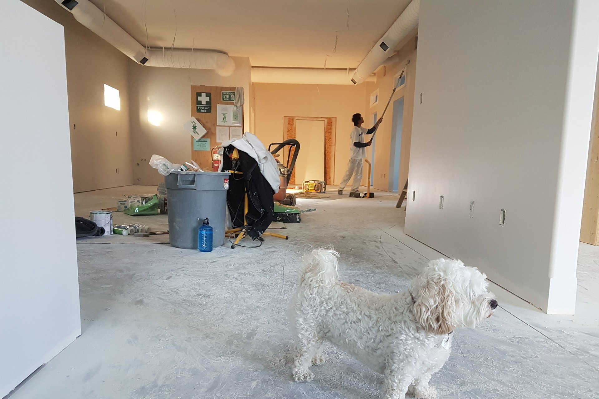 wallpaper removal