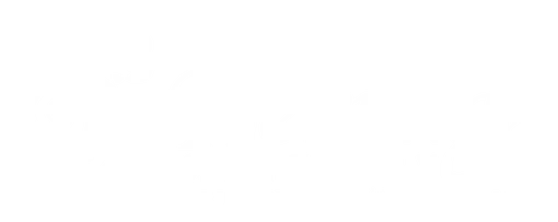 Mostly blank white image with a thin light beige and dark gray horizontal line near the bottom.