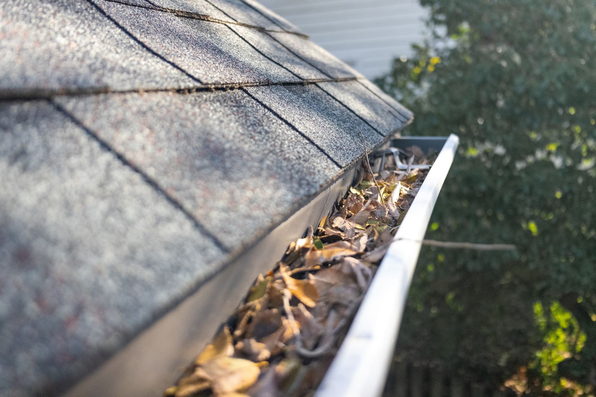 A roof gutter clogged with dry, brown autumn leaves next to shingled roof panels.