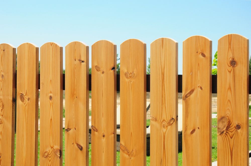 Wooden Picket Fence With Rounded Tops Against a Blue Sky — Fencing Around in Garbutt, QLD