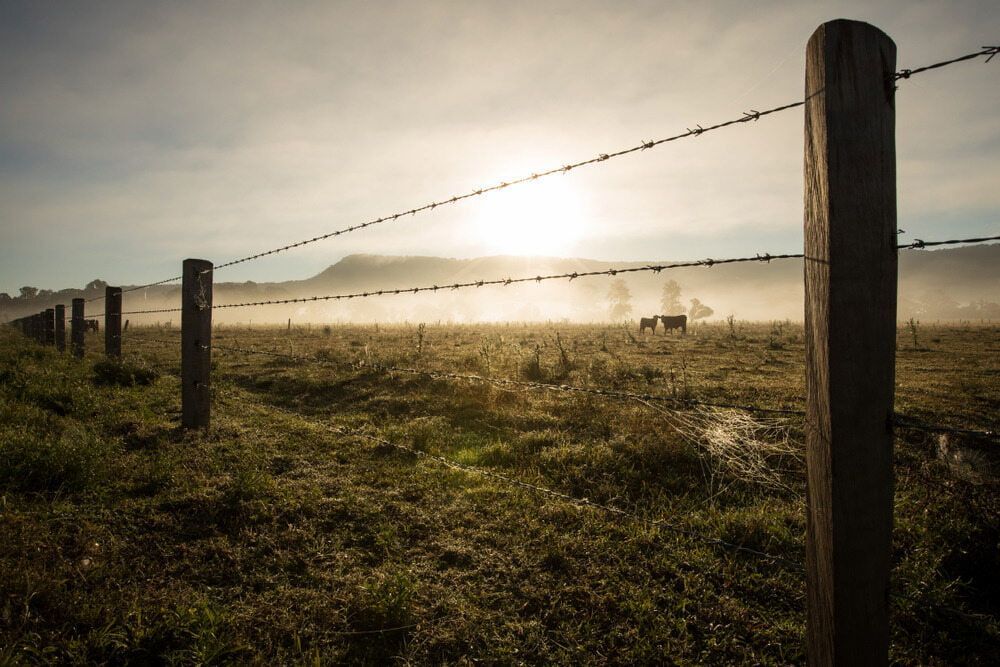 Fence Posts and Wire in a Misty Sunrise Over a Grassy Field — Fencing Around in Garbutt, QLD