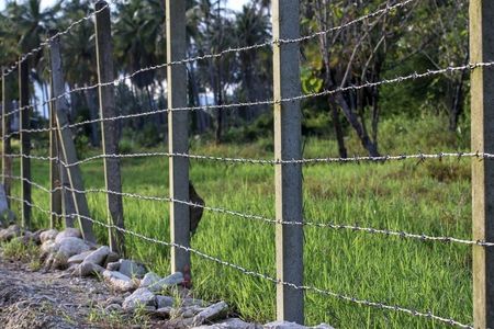 Wire Fence With Barbed Wire Beside a Grassy Field and Palm Trees, With Rocks Along the Base — Fencing Around in Garbutt, QLD