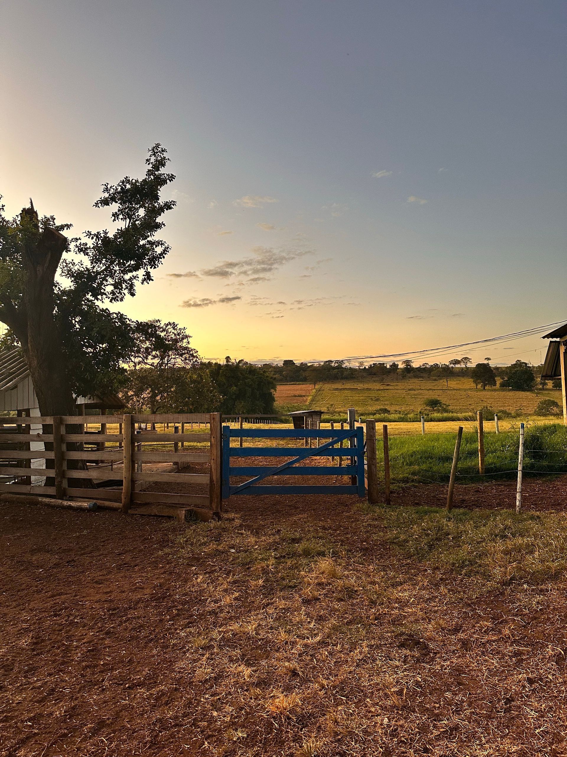 Sunset Over a Rural Gate and Fenced Field With Trees and a Dirt Path — Fencing Around in Garbutt, QLD
