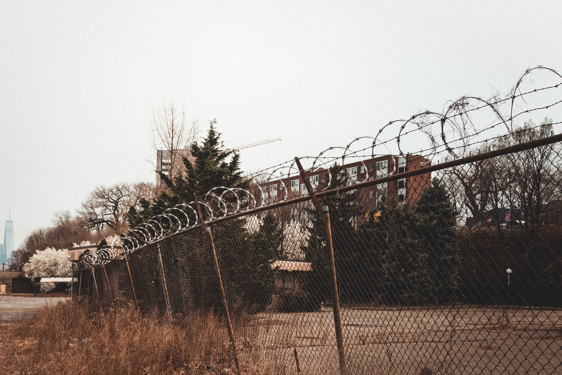Chain-link Fence Topped With Barbed Wire Beside Trees and Buildings Under a Cloudy Sky — Fencing Around in Garbutt, QLD