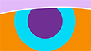 Insights Eyecare Insights Eyecare