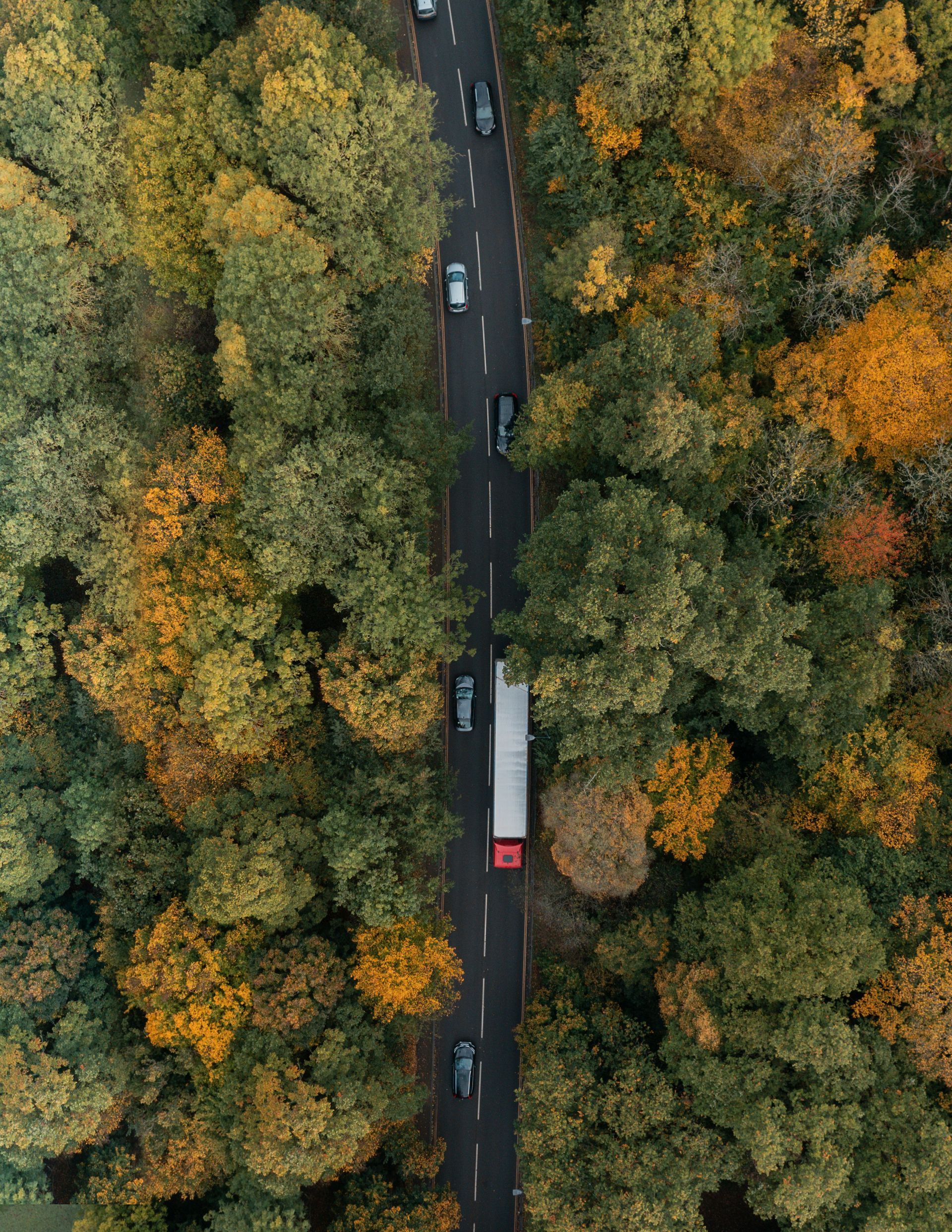 An aerial view of a road cutting through a forest with autumn-colored trees, where several cars and a truck are driving.