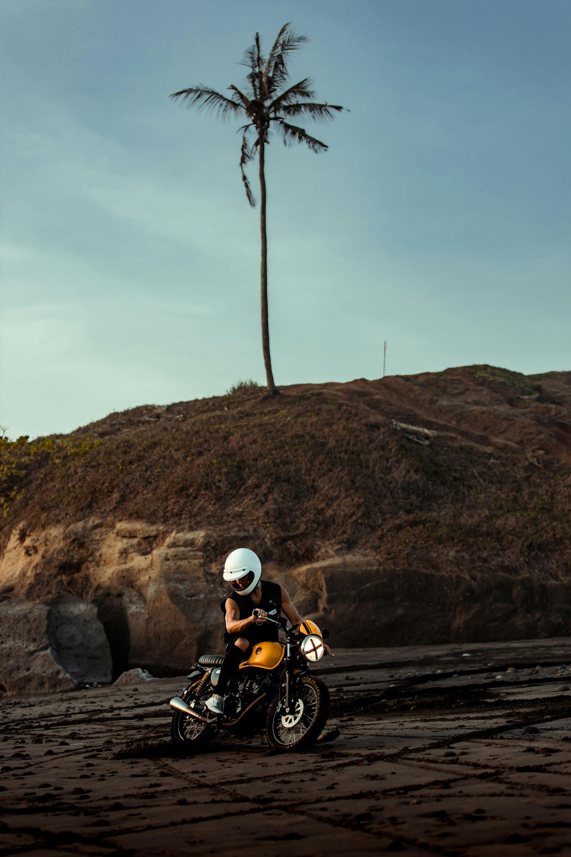 A person wearing a white helmet sits on a yellow motorcycle on a dark, rocky beach beneath a single palm tree.